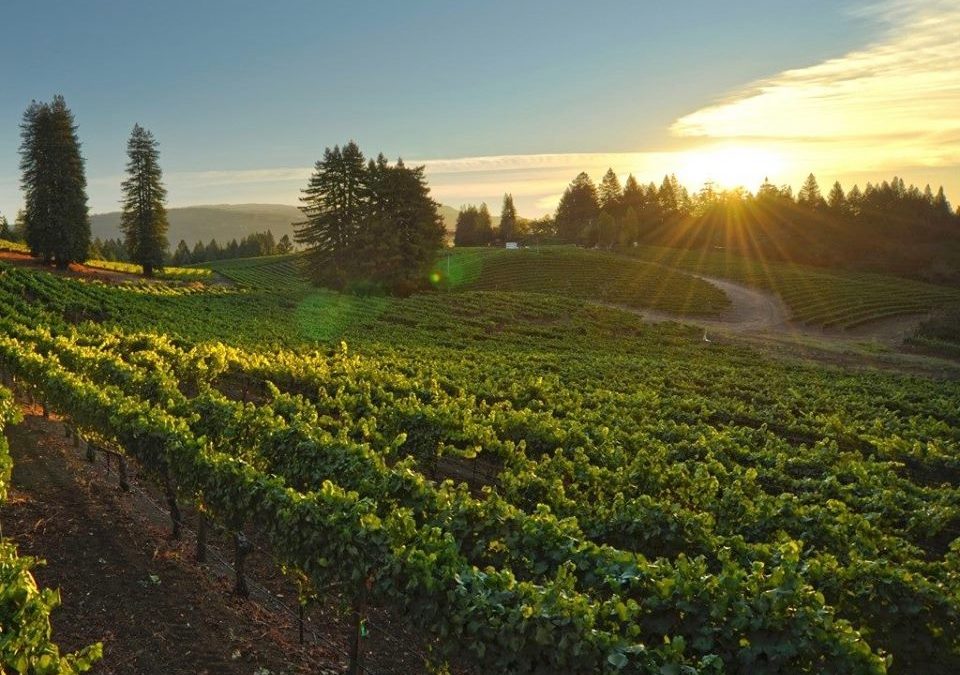 Kistler Vineyard Wine and Jazz Dinner