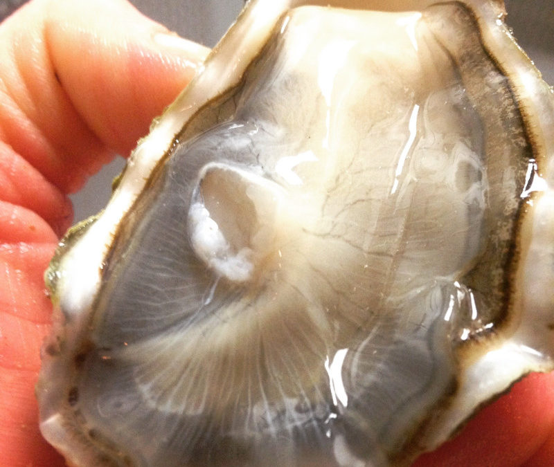 Oyster Happy Hour
