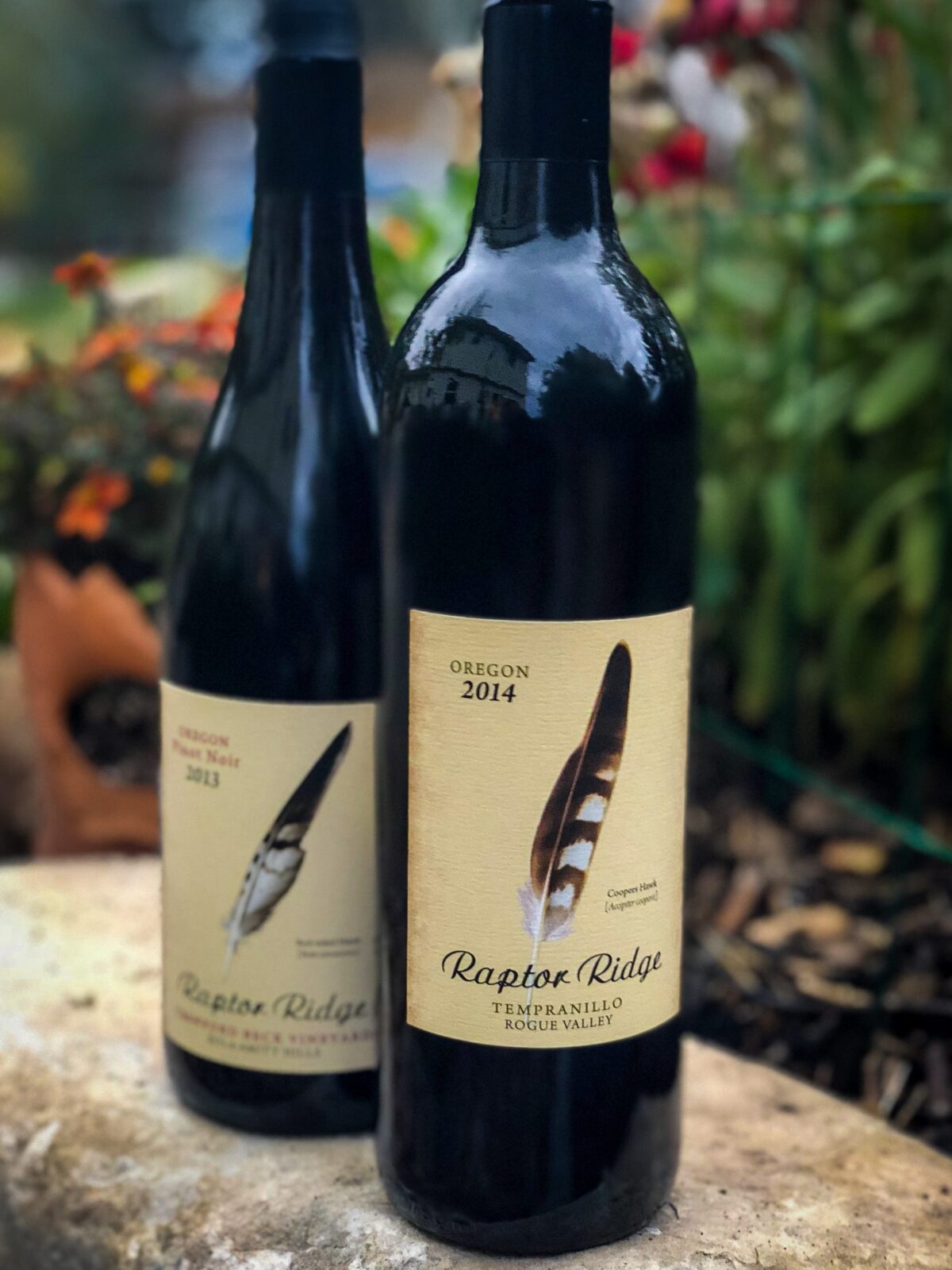 raptor ridge scaled new world wine from Rogue Valley, Oregon