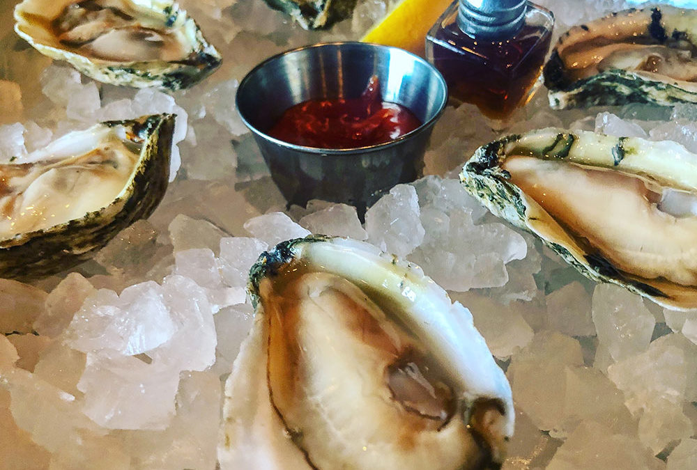 The Environmental Impact of Oysters